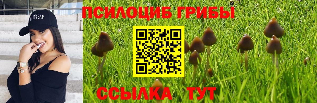 Псилоцибиновые грибы мицелий  Вход с VPN  наркошоп  Псилоцибиновые грибы мухоморы  Боровичи 